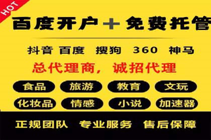 SEM服务优势案例分享